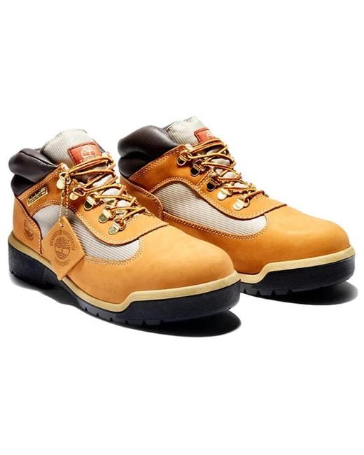 Timberland Blue Waterproof Field Boots for men