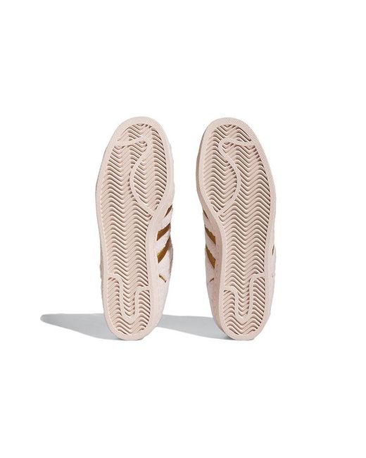 Adidas Natural Superstar 'Concha Strawberry' for men