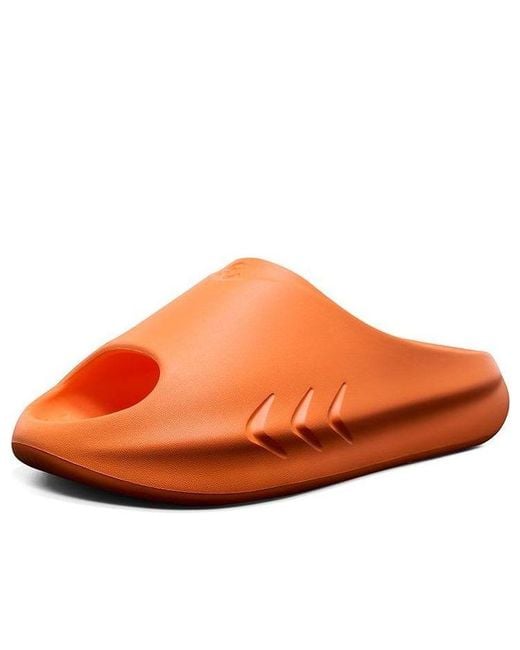 Rigorer Brown Mini Shark Sandals for men