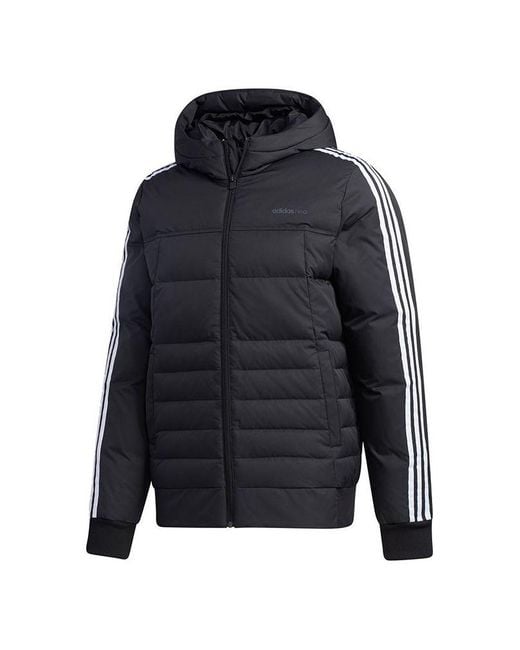 Adidas Blue Neo Sprt Dwn Puff Hooded Down Jacket for men
