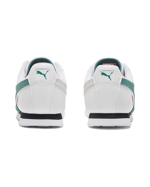 PUMA Blue Scuderia Ferrari X Roma for men