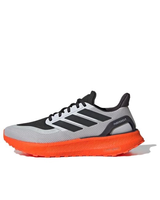 Adidas Blue Pureboost 5 for men