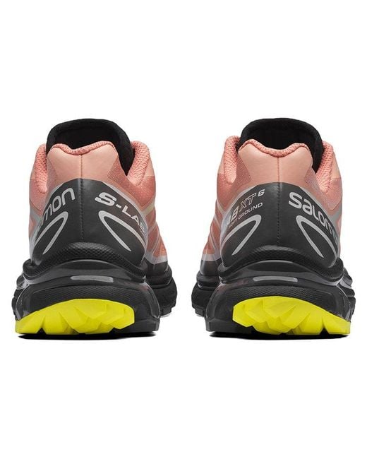 Salomon Brown Xt-6 Series for men