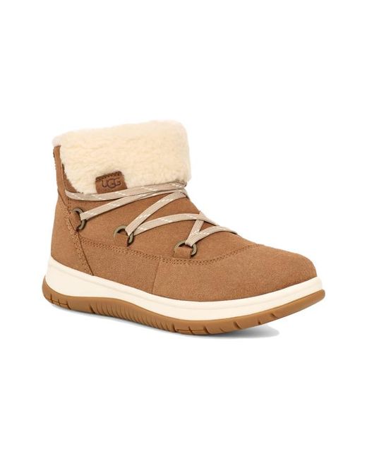 Ugg Natural (Wmns) Lakesider Heritage Lace 'Chestnut'
