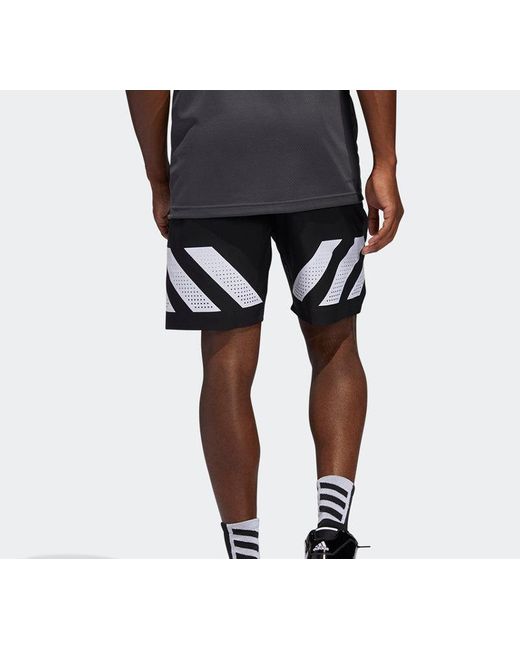 Adidas Black N3Xt L3V3L 20 Basketball Sports Shorts for men