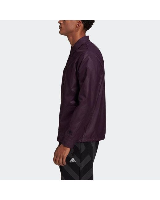 Adidas Blue Pg Jacket Sports Stylish for men