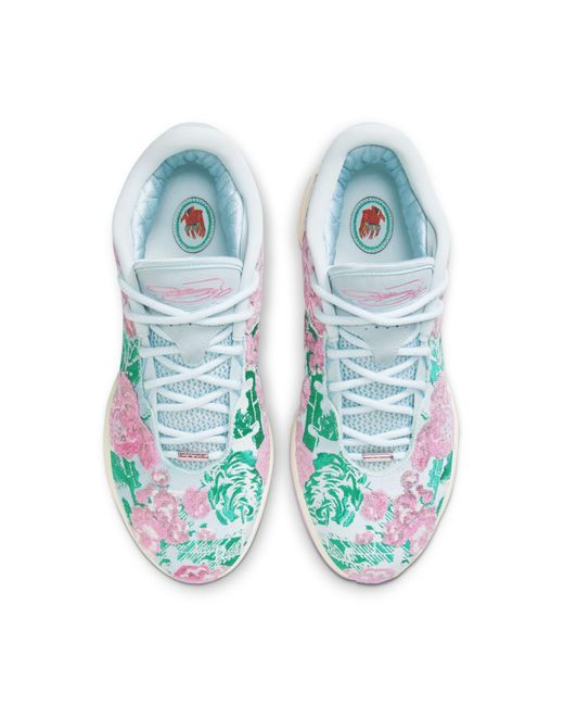 Nike Blue Lebron 21 Premium Ep 'Grandma's Couch Light' for men