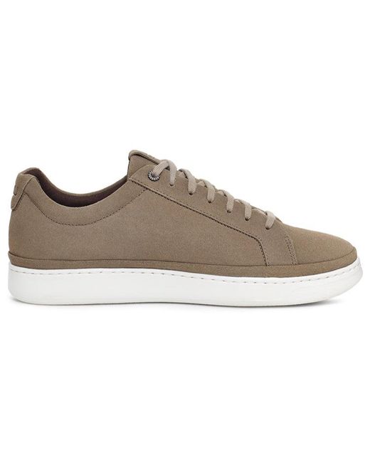 Ugg Brown Cali Sneaker Suede 'Brindle' for men