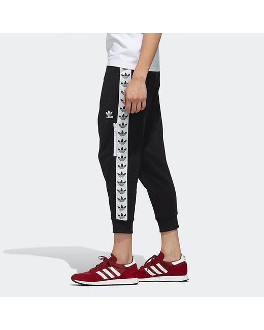 Adidas Blue Originals Logo Sports Pants/Trousers/Joggers for men