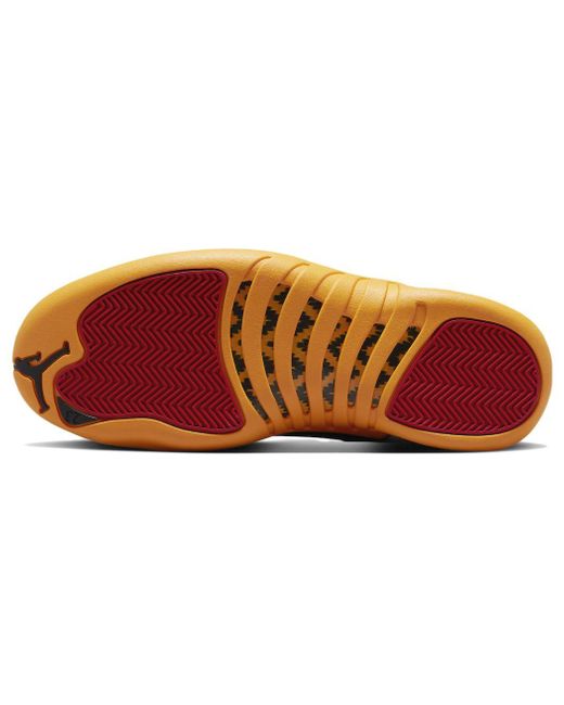 Nike Blue 12 Retro '25 Years for men