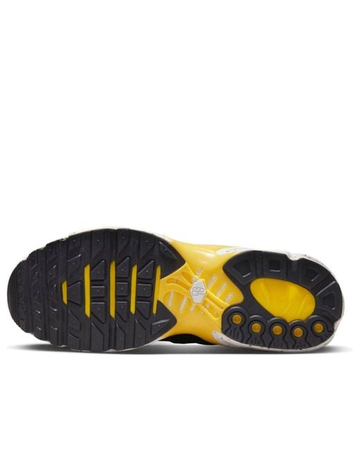 Nike Blue Air Max Terrascape Plus for men