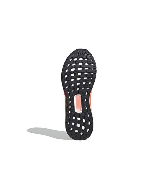 Adidas Blue Ultraboost Pb Signal Coral' for men