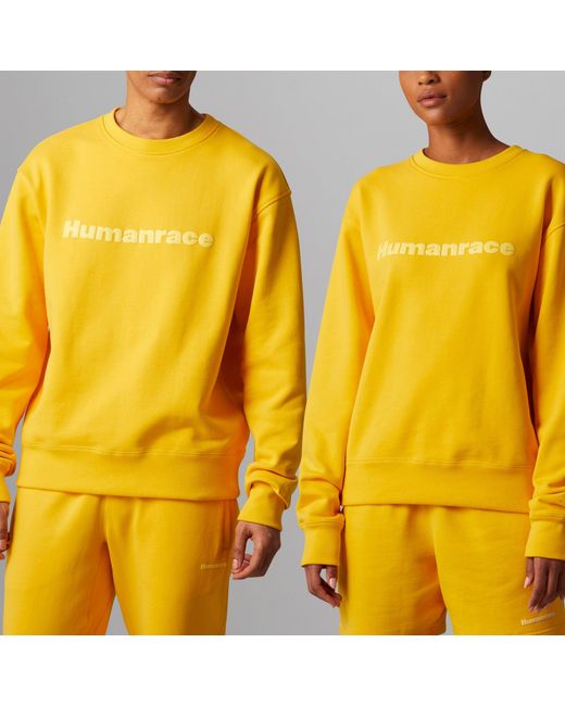Adidas Originals X Pharrell Williams Crossover Casual Breathable Solid Color Round Neck Pullover Long Sleeves Yellow for men