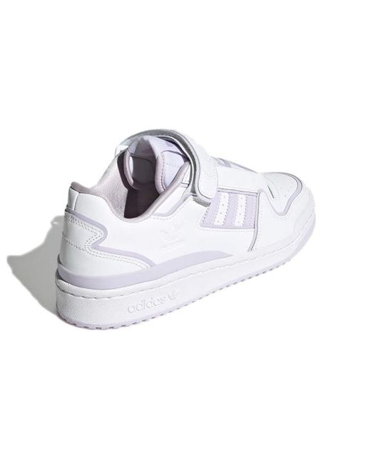 Adidas White (Wmns) Forum Plus Tint'