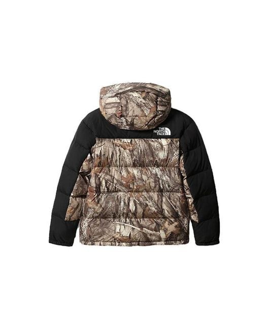 The North Face Brown Nuptse Jacket 550 for men