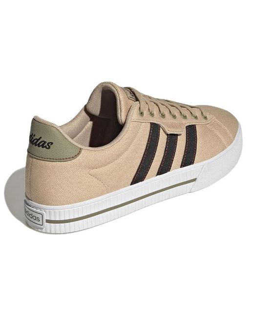 Adidas Brown Daily 3.0 Shoes 'Magic' for men