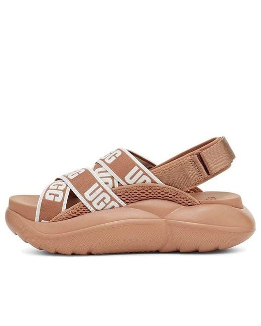 靴 UGG W LA CLOUD SPORT SANDAL UGG (Wmns) La Cloud Collection Sports Sandals in Pink | Lyst