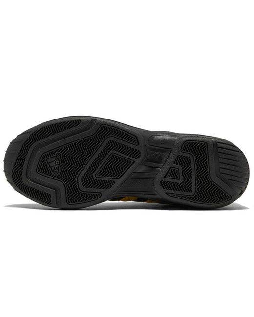 Adidas Brown Pro Model 2G Metallic' for men