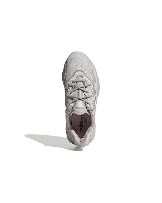 Adidas Gray Ozweego Shoes 'Feather Vapour' for men