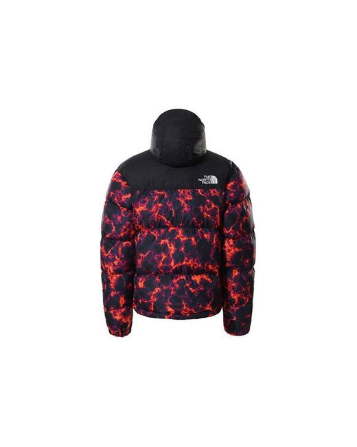 The North Face Red 1996 Retro Nuptse 700 Jacket for men