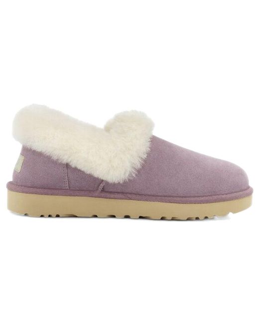 Ugg Purple (Wmns) Nita