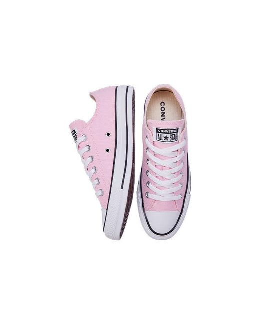 Converse Purple All Star Low Tops Retro Shoe for men
