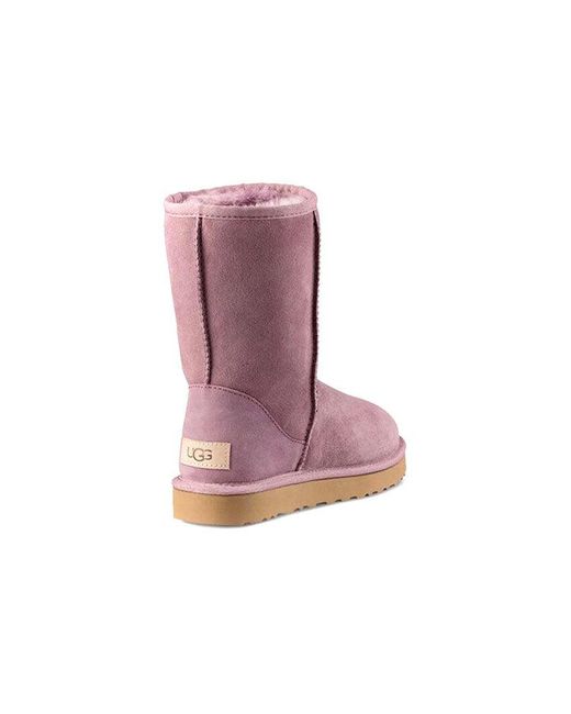 Ugg Purple (Wmns) Classic Short Ii
