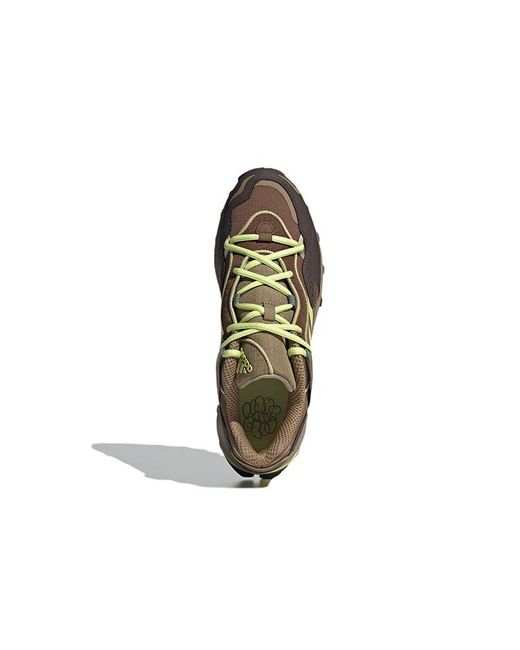 Adidas Brown Response Hoverturf 'Plant And Grow' for men