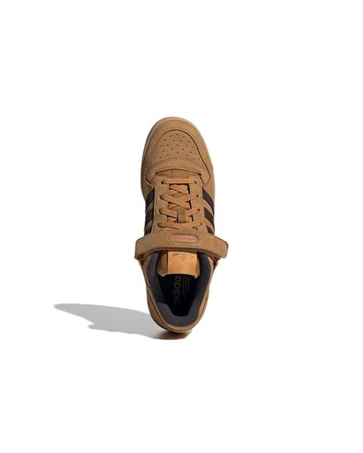 Adidas Brown Forum Low Shoes 'Night' for men
