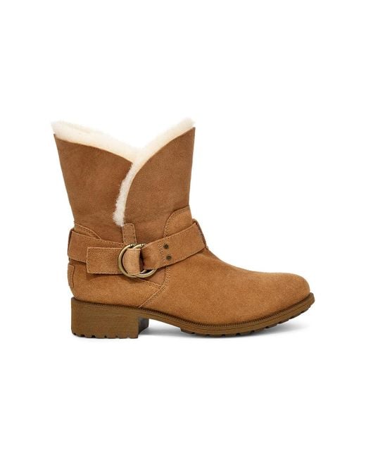 Ugg Brown (Wmns) Bodie Snow Boots