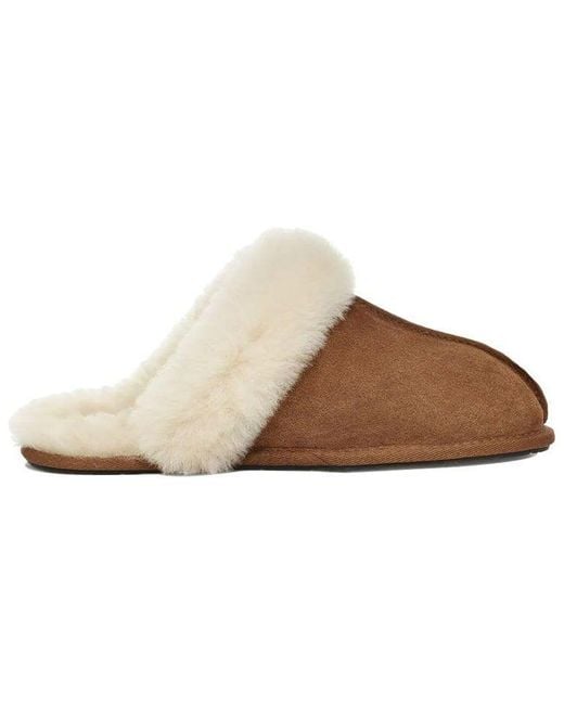 Ugg Scuffette Ii Brown Slippers