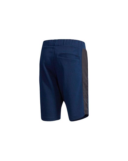 Adidas Blue Neo Cs Cnt Gr St2 Casual Breathable Sports Knit Shorts for men