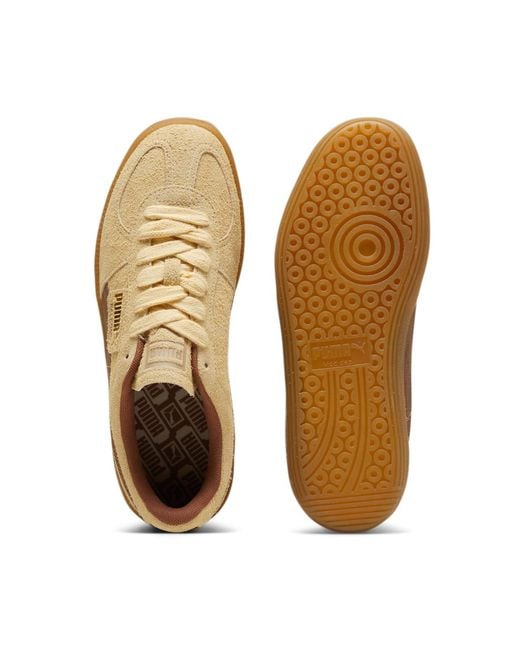 PUMA Brown Palermo 'Chamomile Mushroom' for men