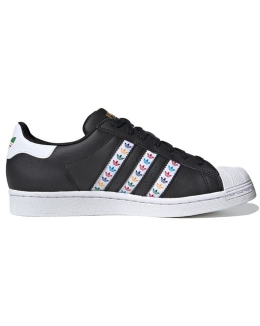 Adidas Blue Superstar Multi' for men