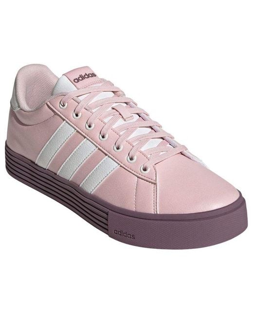Adidas Purple (Wmns) Daily 4.0 Wine'