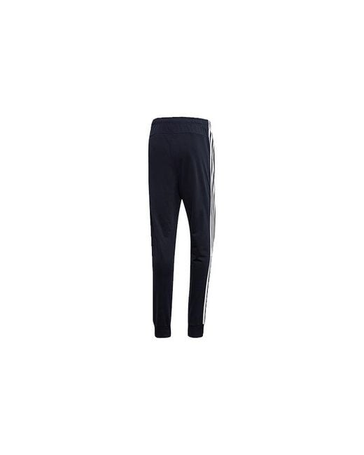 Adidas Blue Training Sports Knitted Pants for men