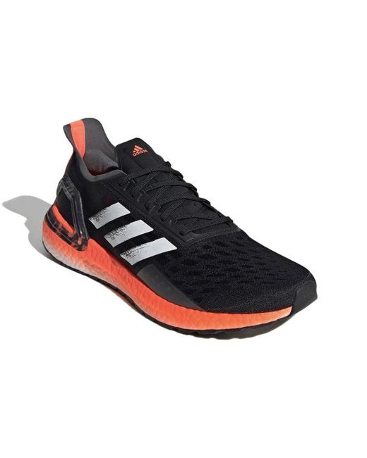 Adidas Blue Ultraboost Pb Signal Coral' for men