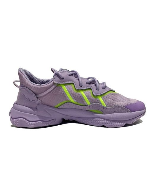 Adidas Purple (Wmns) Originals Niteball
