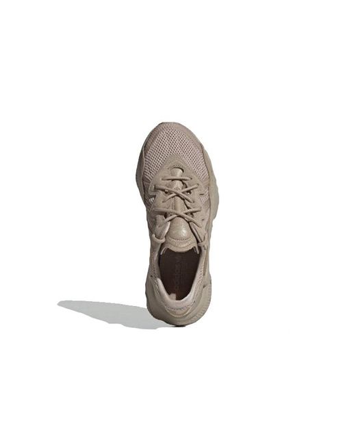 Adidas Gray Ozweego