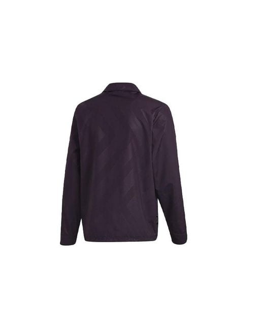 Adidas Blue Pg Jacket Sports Stylish for men