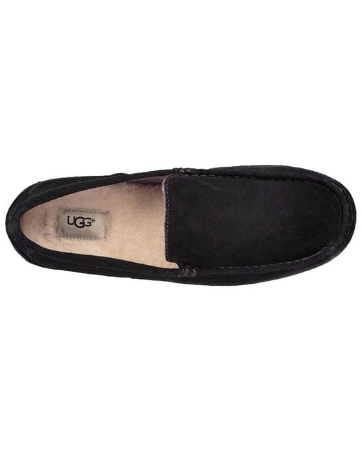 Ugg Black Alder 'Triple for men