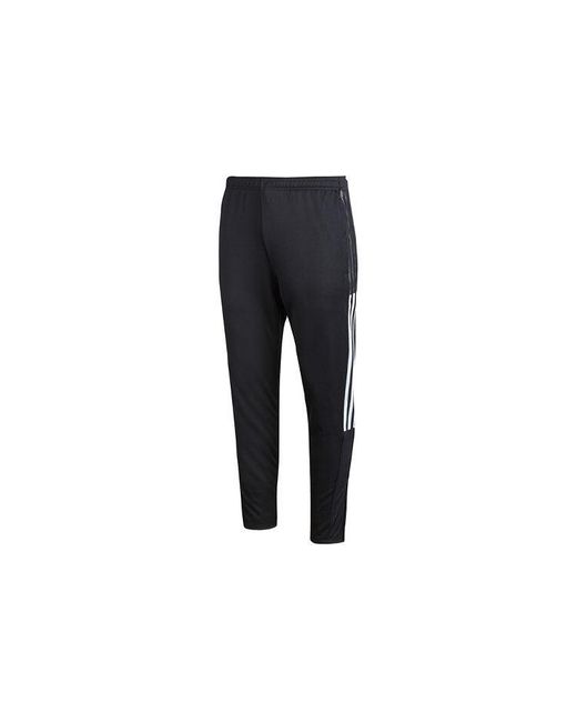 Adidas Black Tiro21 Tk Pnt Sports Long Pants for men
