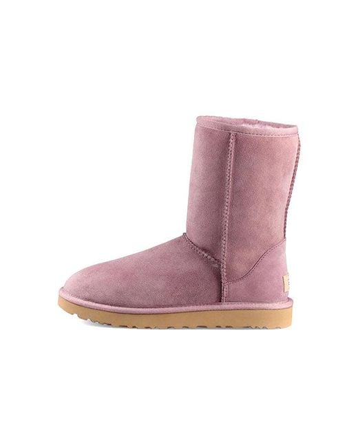 Ugg Purple (Wmns) Classic Short Ii
