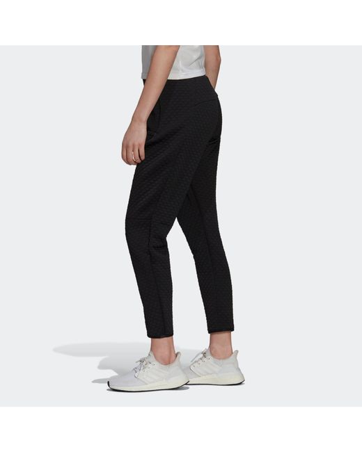 Adidas Black (Wmns) Z.N.E. Sportswear Pants
