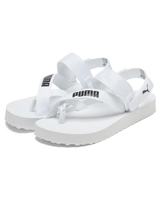 PUMA White (Wmns) Summercat