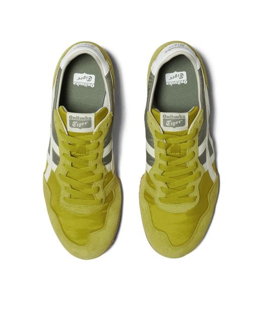 Onitsuka Tiger Green Serrano 'Kelp Birch' for men