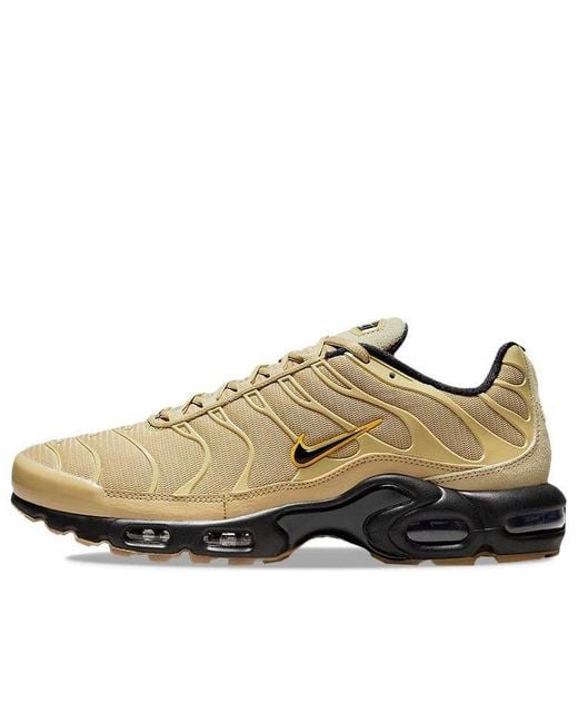 Nike Air Max Plus 'wheatgrass' in Brown for Men | Lyst