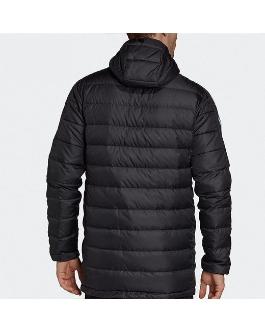 Adidas Blue Logo Print Casual Cap Sports Down Jacket for men