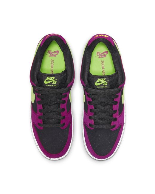 Nike Purple Sb Dunk Low Pro Plum' for men