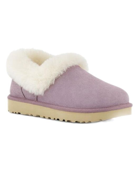 Ugg Purple (Wmns) Nita